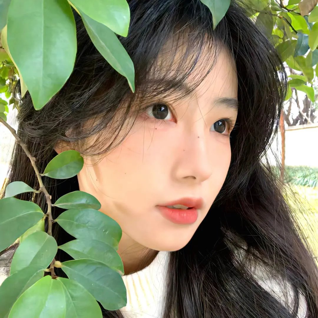 爱情与友谊